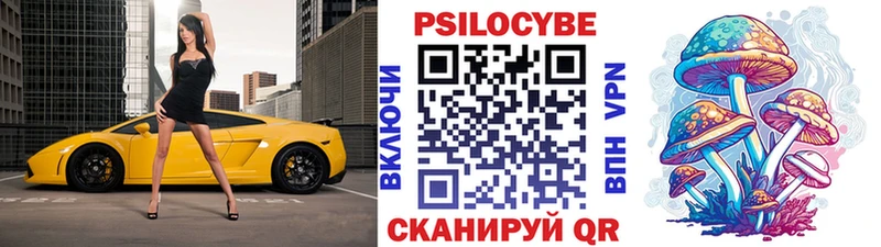 Псилоцибиновые грибы MAGIC MUSHROOMS  как найти закладки  нарко площадка телеграм  Полтавская 